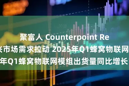 聚富人 Counterpoint Research：受益新兴市场需求拉动 2025年Q1蜂窝物联网模组出货量同比增长16%