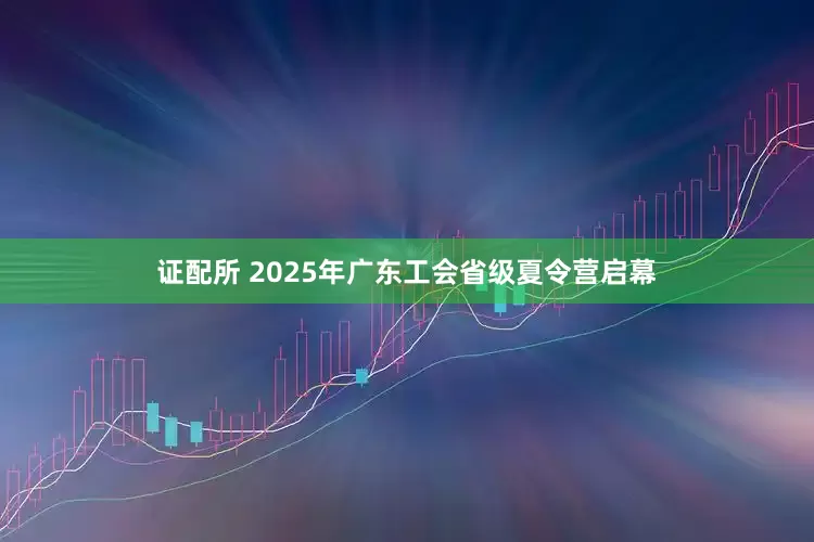 证配所 2025年广东工会省级夏令营启幕