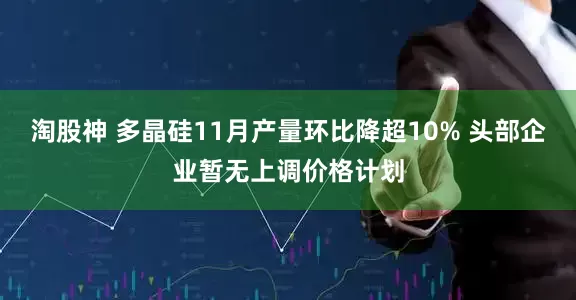 淘股神 多晶硅11月产量环比降超10% 头部企业暂无上调价格计划